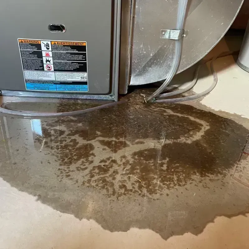 Appliance Leak Cleanup in Bayard, NM